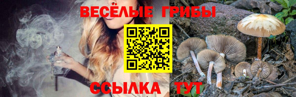 Псилоцибиновые грибы мицелий  Псилоцибиновые грибы MAGIC MUSHROOMS  Чехов  Вход с VPN 