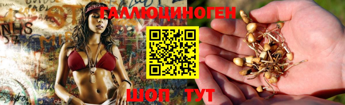 Галлюциногенные грибы ЛСД Чехов